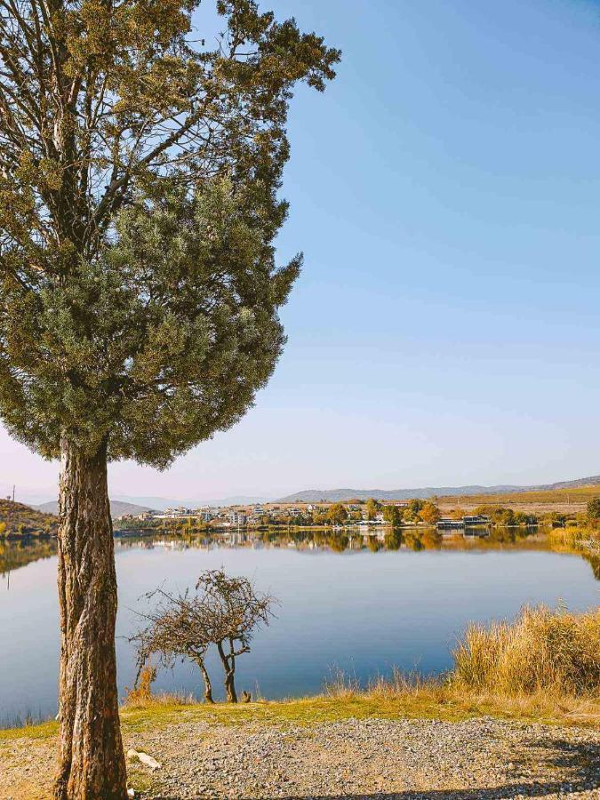 Villa Lucija By Romantique Veles Dış mekan fotoğraf